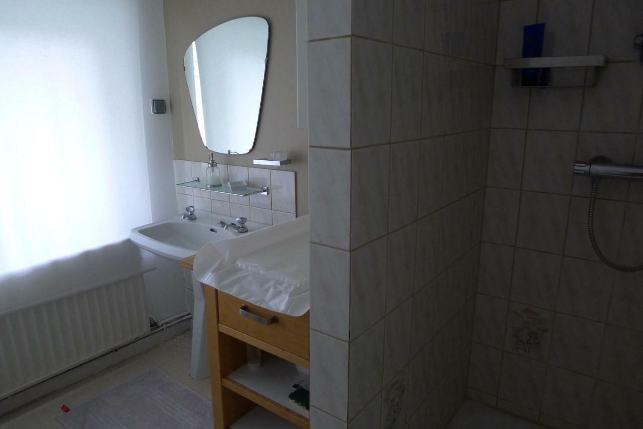 Beautiful And Spacious Contemporary House Oignies エクステリア 写真